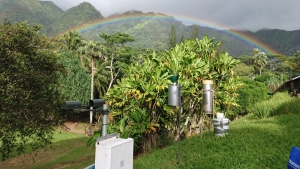 rainbow over arboretum