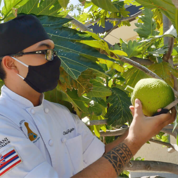 Undergraduate ʻulu research yields innovative recipes, hopes for other local crops