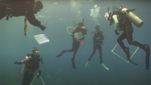 people in scuba gear underwater