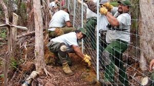 people putting up fences