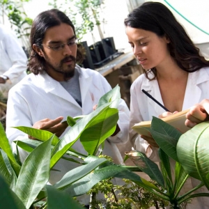 people looking at plants