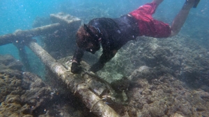 diver