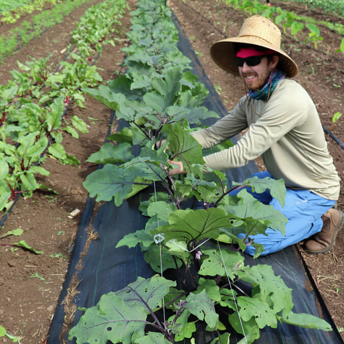 $1.6M for agriculture education for Native Hawaiian, underrepresented students
