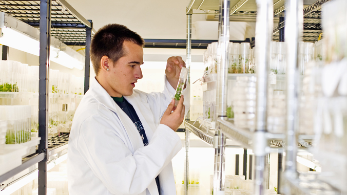 person looking at a tube in a lab