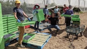 people with crates