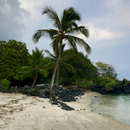 Kona coast faces stark wastewater tradeoffs