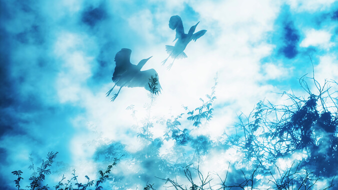 bird flying above, blue skies