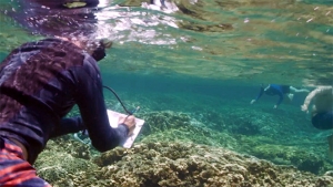 student recording information in ocean