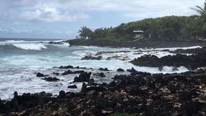 Hawaii island coastline
