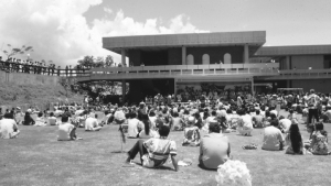 Students sitting on the lawn