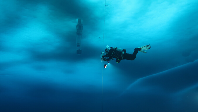 diver underwater