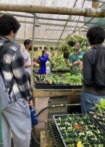 person talking to other people in a greenhouse with plants