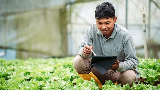 public health worker surveying plants