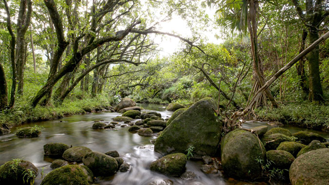 Solutions to critical national water issues proposed by UH experts | University of Hawaiʻi System News - UH System Current News