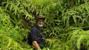 Professor in forest