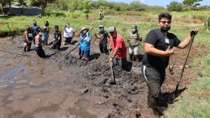 people working in field