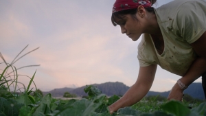 Kahealani Acosta working in a field