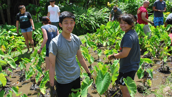 students working outside