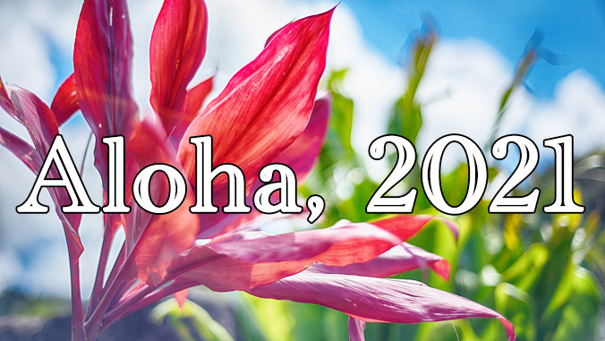 Ti plant with the words Aloha, 2021