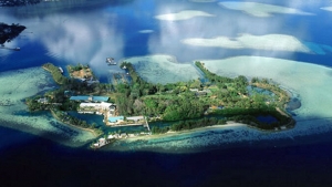 aerial of Coconut Island