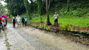 people standing near plants