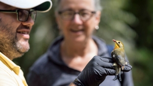 man holding bird, woman looking at bird