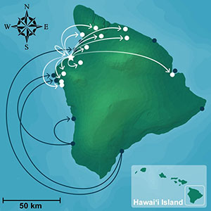 map of hawaii island