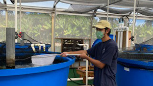 Student with net and tanks