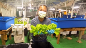 Woman holding lettuce