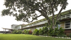 school with tree in front