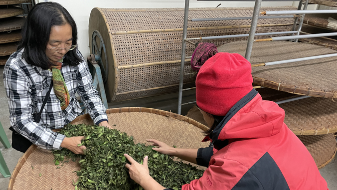 person preparing tea leaves