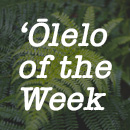 Hawaiian Word of the Week: Hoʻomaikaʻi
