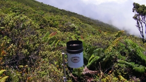 Rain gauge on the side of a mountain