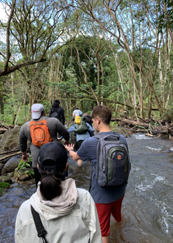 people walking in a stream