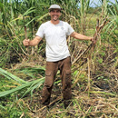 UH Hilo ag college launches climate change academy