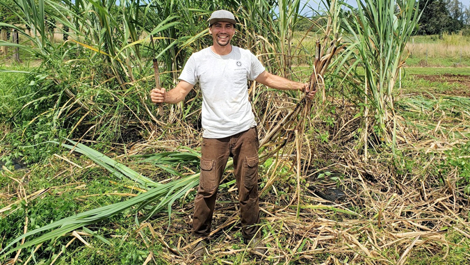 Smiling man in a cane field