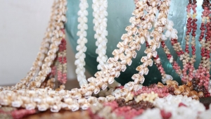 shells