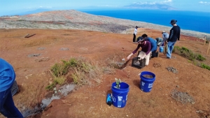 people planting plants into the ground on an island