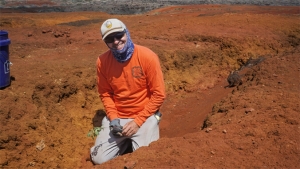 person in an orange shirt holding a plant