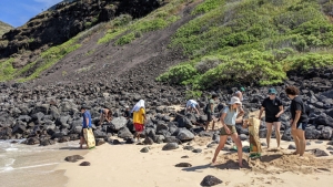 people cleaning beach