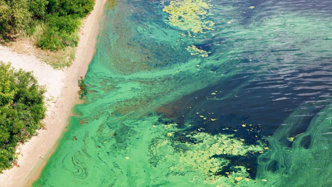 ocean and beach