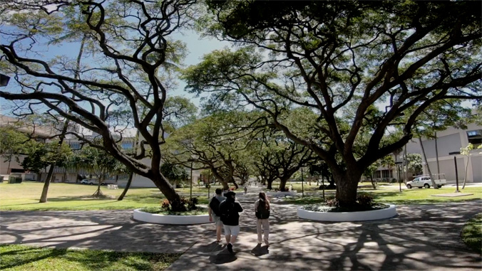 Students walking on U H Manoa campus