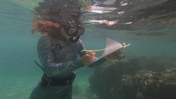 person in scuba gear with a clipboard under the water surface