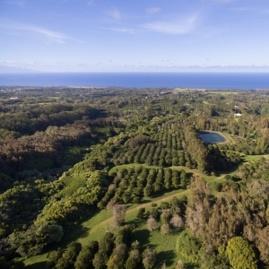 Kohala coast