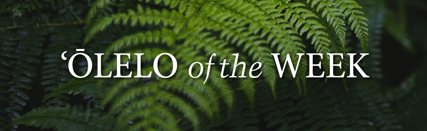 olelo of the week