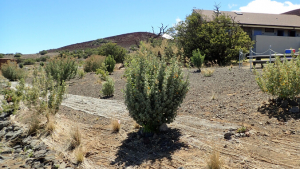 outside of the Maunakea Visitor Station