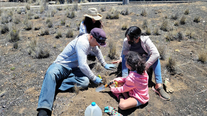 people planting 