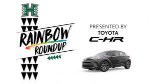 Rainbow Roundup graphic
