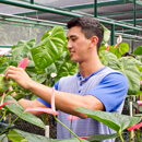 International academic, research honors for UH Mānoa