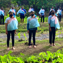 Native Hawaiian high schoolers immersed in science, more at Mānoa